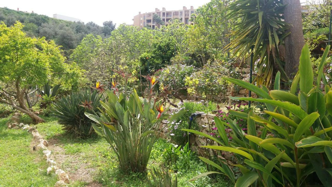 Av Fonte Coberta, Lagos, Villa Fonte Coberta Exterior foto